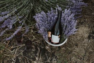 Vins de Loire : Muscadet, Sancerre, Vouvray et Chinon