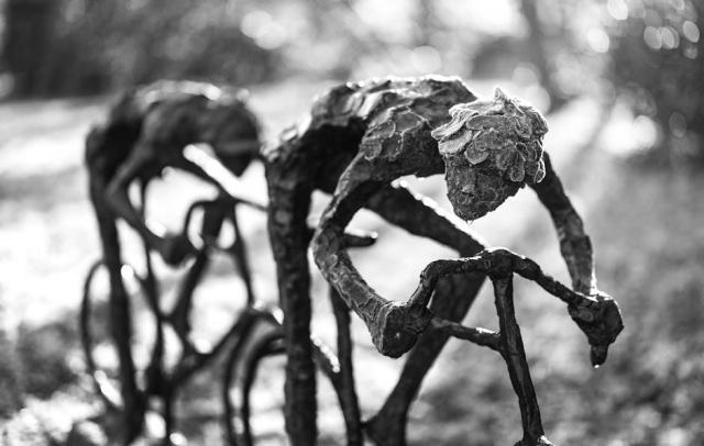 Cépages français : le guide des variétés qui font la richesse du vignoble Cépages français : le guide des variétés qui font la richesse du vignoble