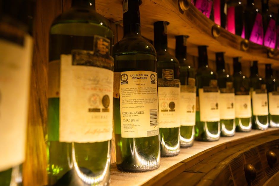 Conservation du vin : température, humidité et stockage optimal
