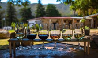 Service du vin : températures, carafage et choix des verres