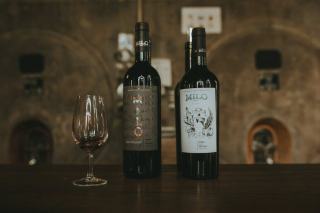 Vins du Languedoc : terroirs, appellations et cépages du sud